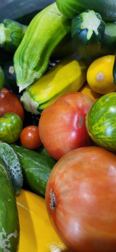 Panier de légumes du jardin