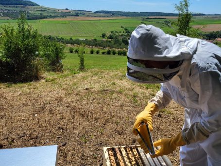 Mickaël, Chef de cuisine au petits soins pour ses abeilles