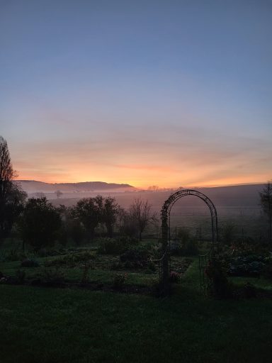 Le potager de La Ferme des Chanottes baigné dans la brume du matin automnal